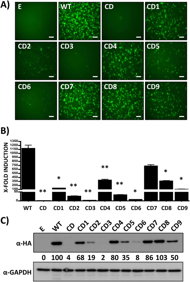 FIG 2