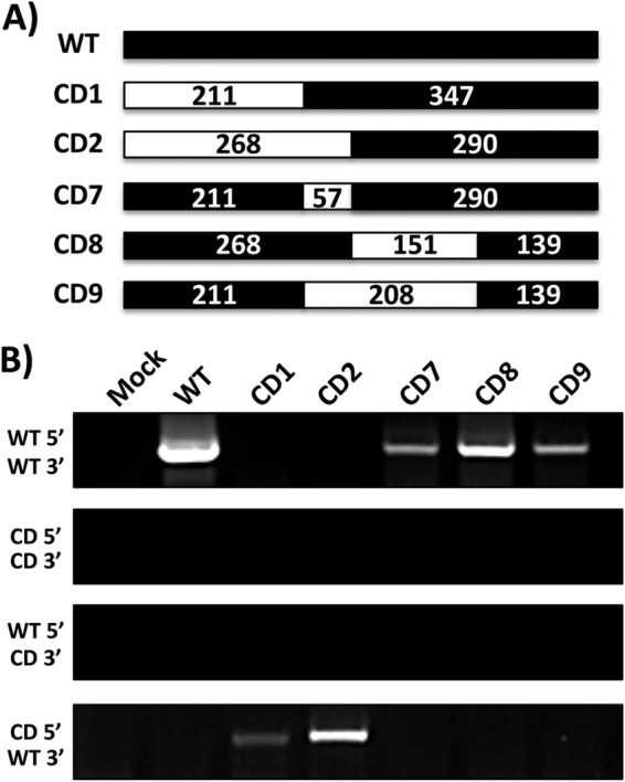 FIG 4