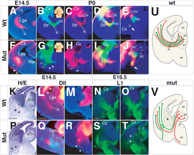 Figure 10.