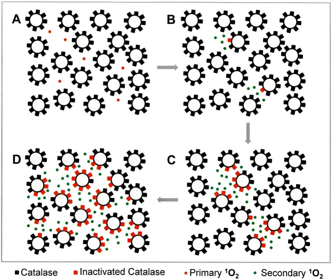 Figure 20