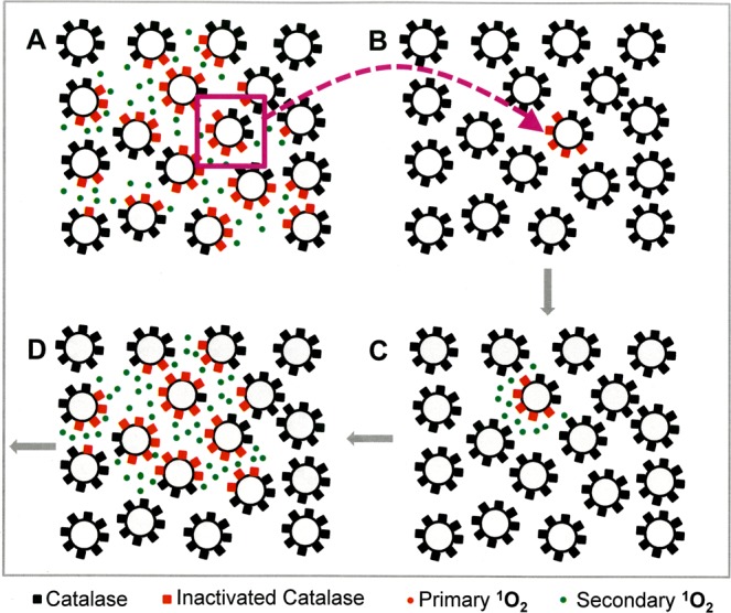 Figure 21