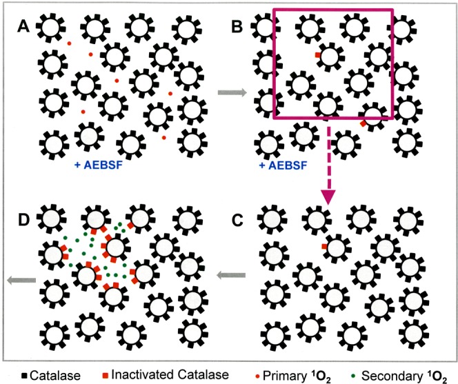 Figure 22