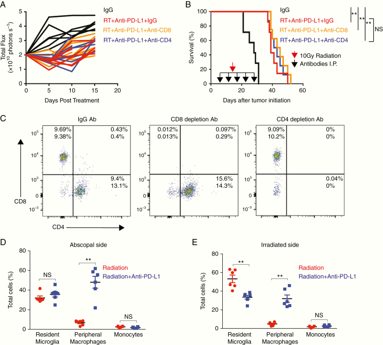 Anti–PD-L1 antibody direct activation of macrophages contributes to a ...