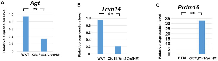 Figure 2—figure supplement 4.