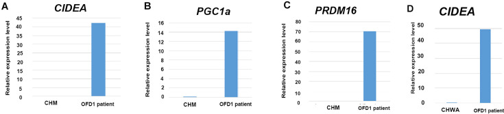 Figure 9—figure supplement 1.