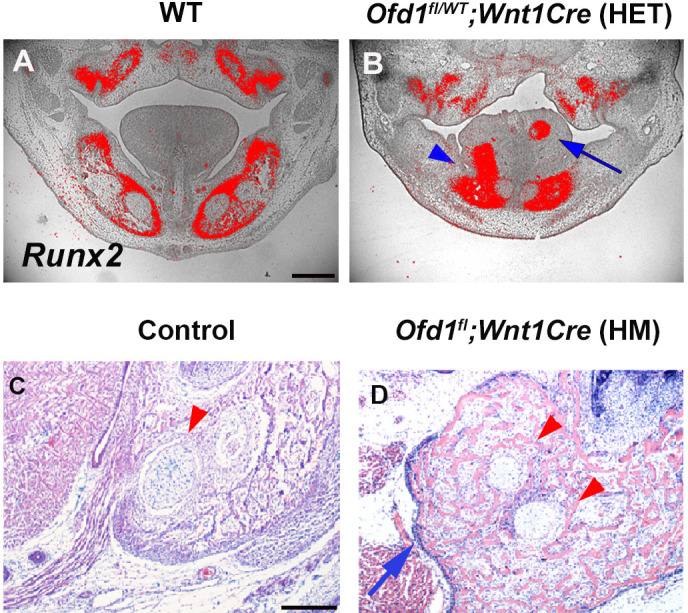 Figure 1—figure supplement 2.