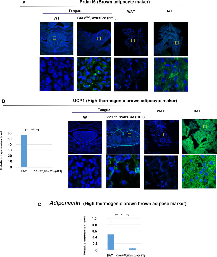 Figure 2—figure supplement 2.