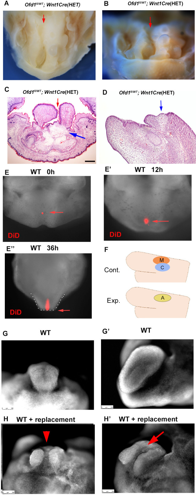 Figure 7.