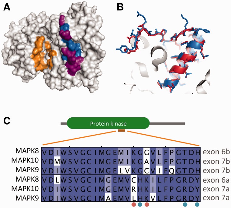 Fig. 4.—