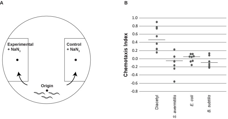 Figure 1—figure supplement 1.