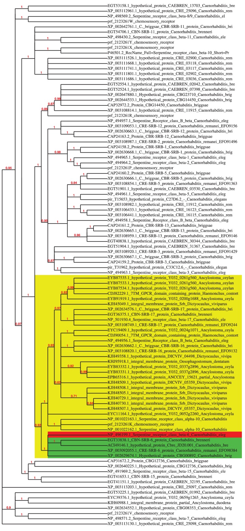 Figure 4—figure supplement 2.