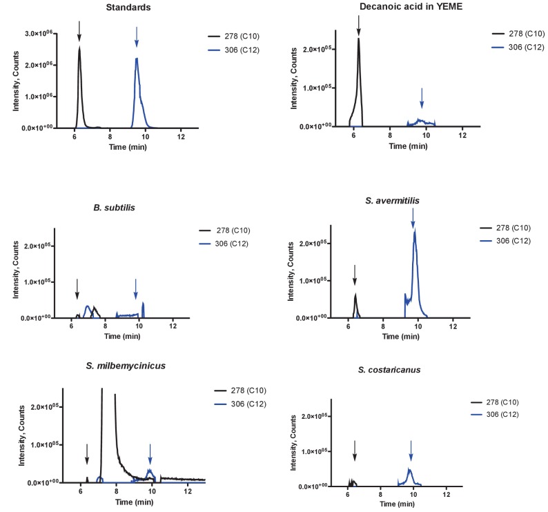 Figure 3—figure supplement 1.