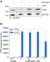 Figure 5