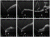 Fig. 10.