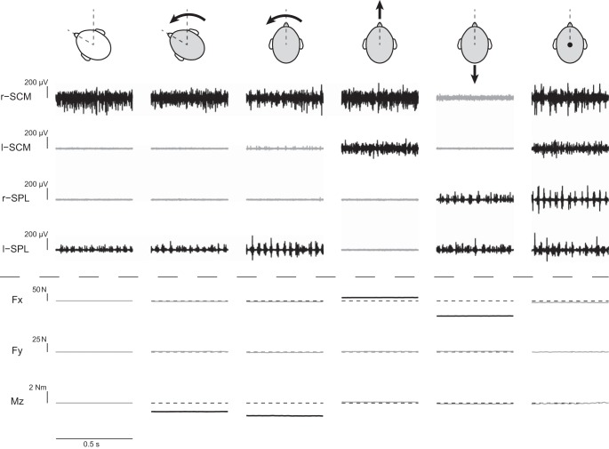 Fig. 2.