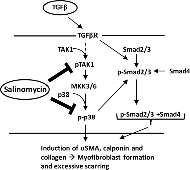 FIGURE 9.