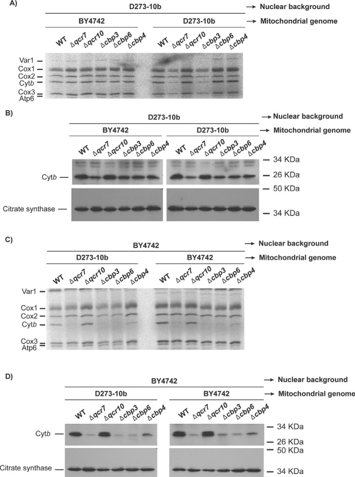 Figure 6.