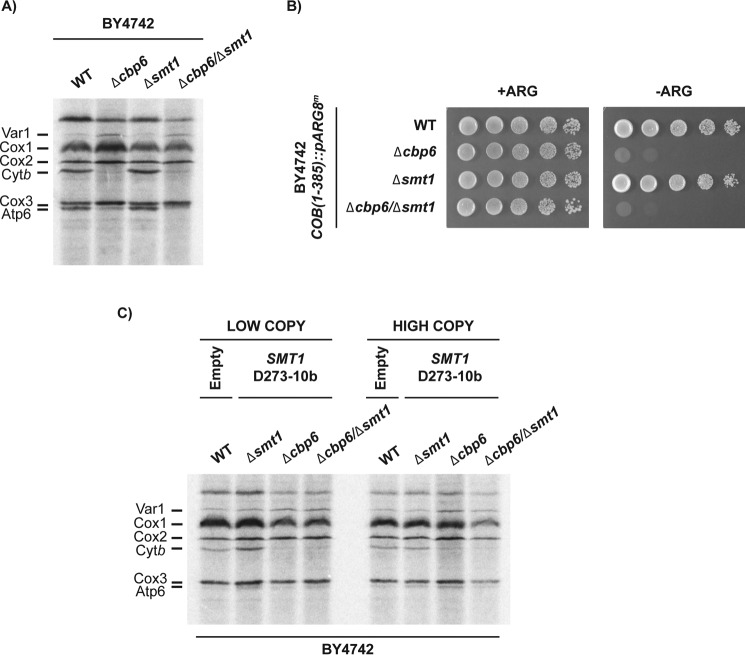 Figure 7.