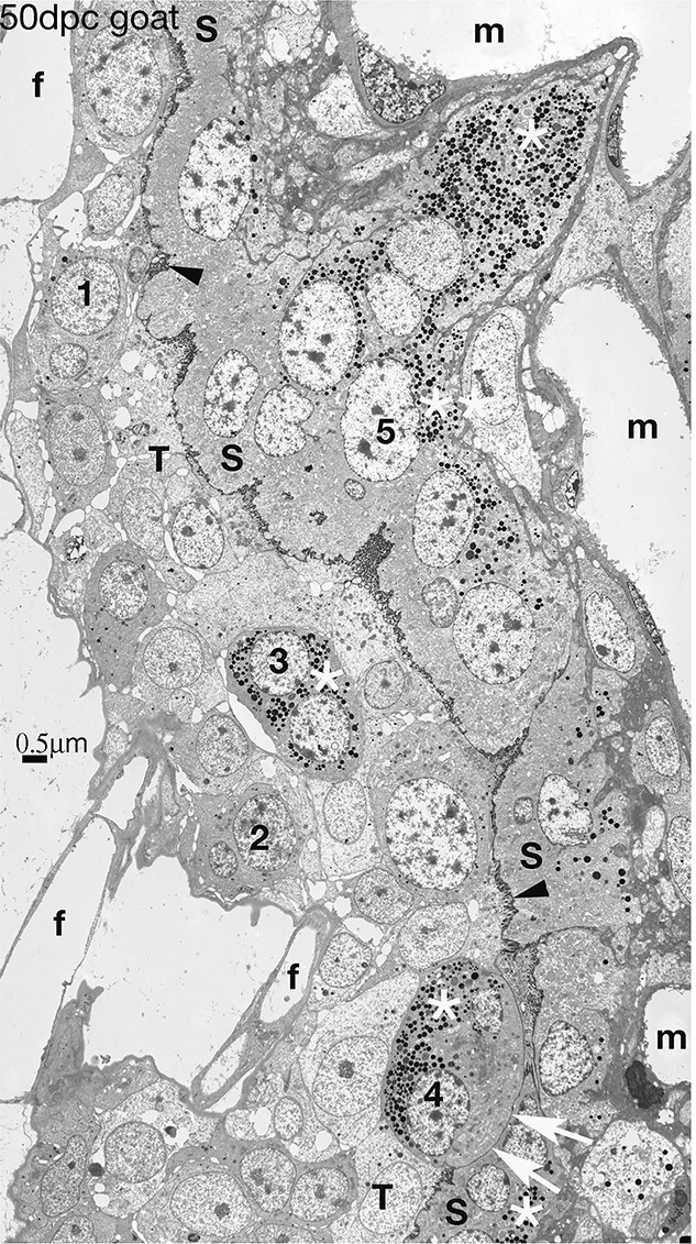 Figure 10