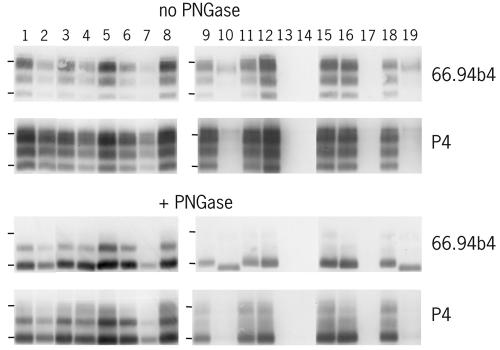 FIG. 5.