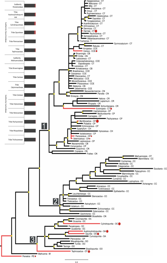 Figure 4.