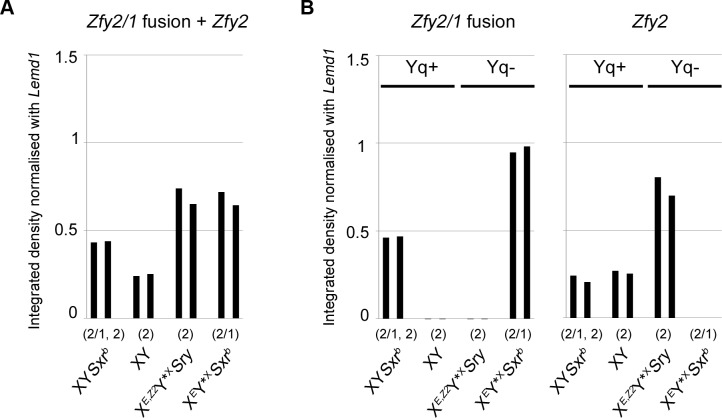 Fig 6