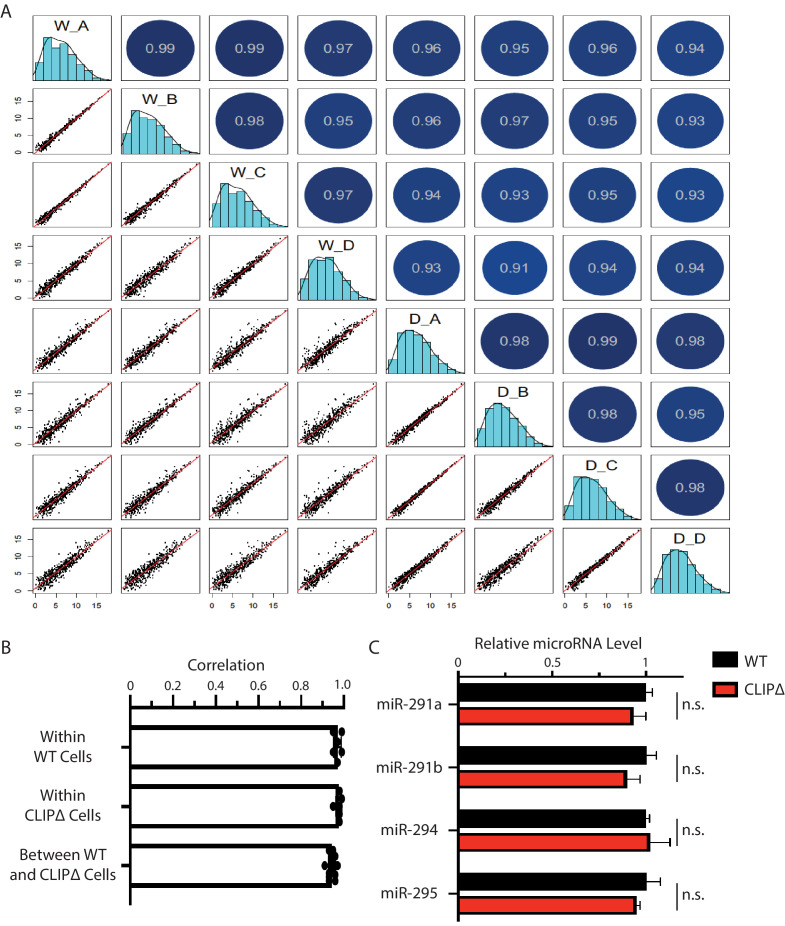 Figure 4—figure supplement 1.