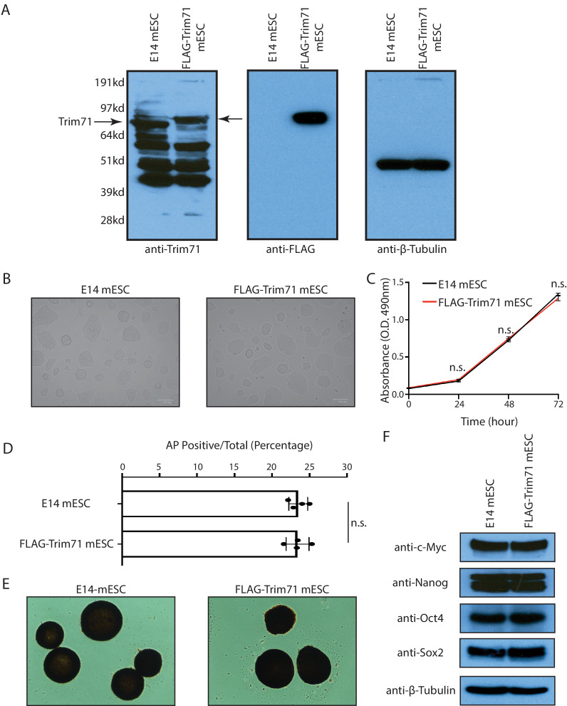 Figure 1—figure supplement 1.