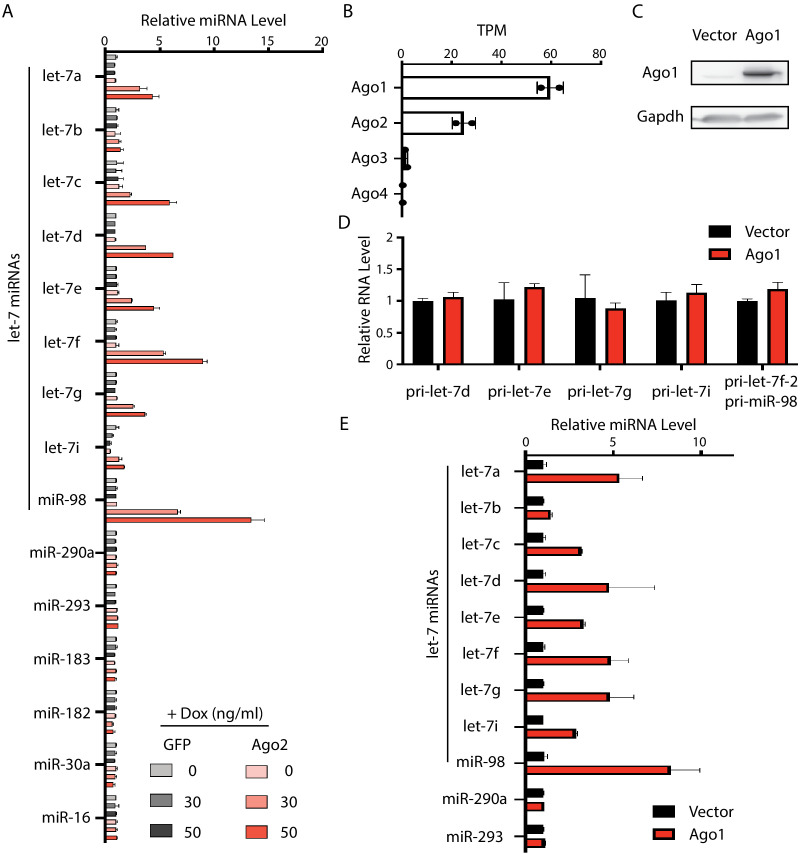 Figure 5—figure supplement 1.