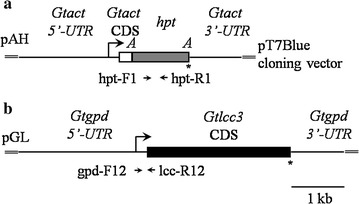 Fig. 1