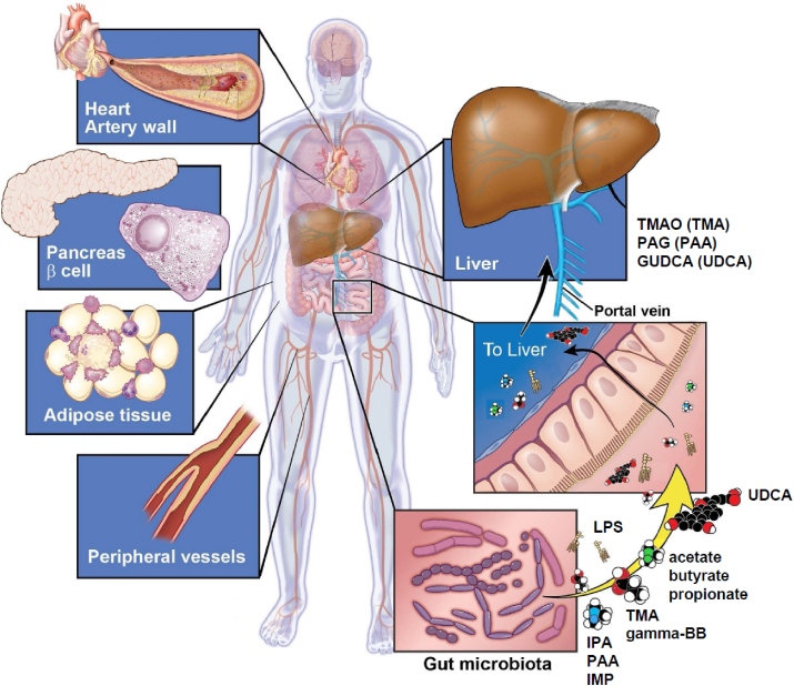 Figure 2