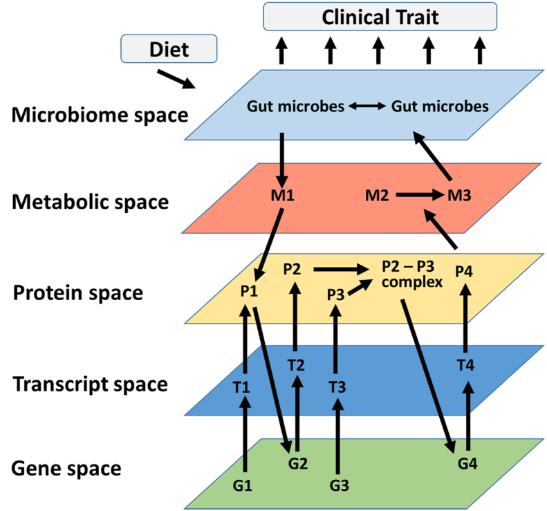 Figure 1