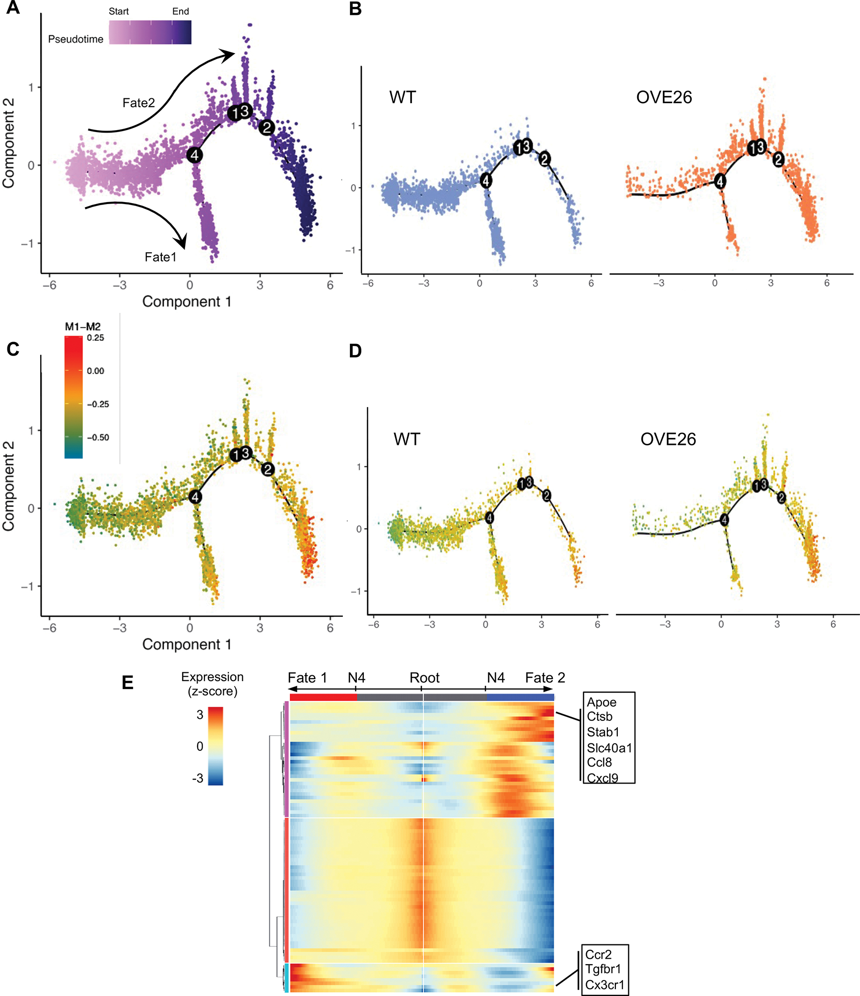 Figure 4.