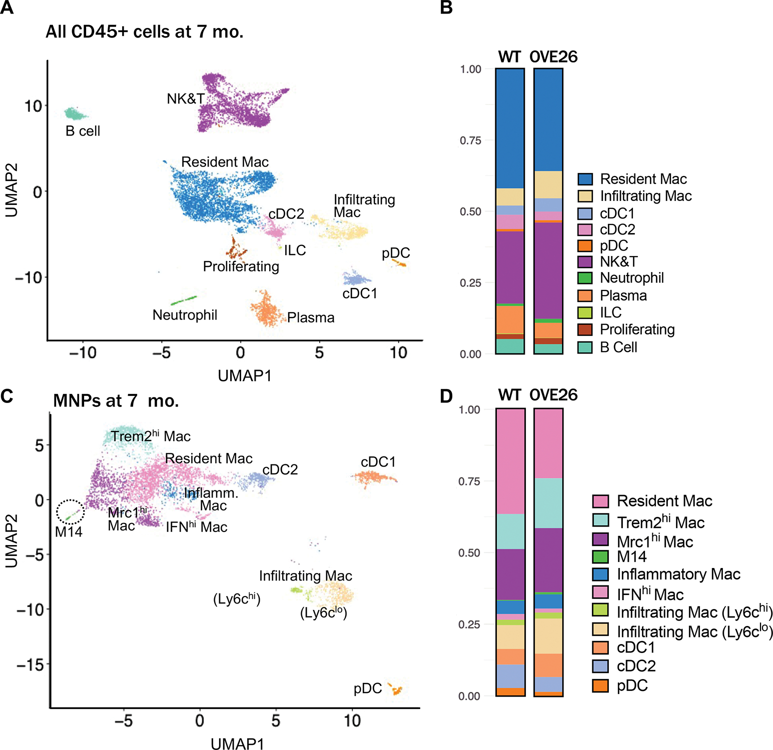 Figure 2: