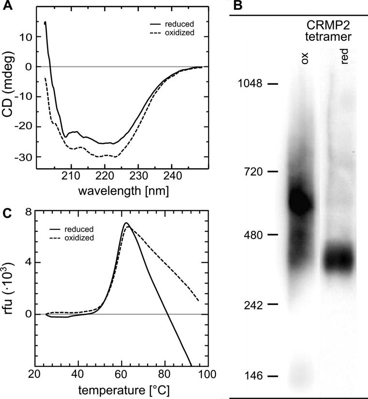 FIGURE 3.