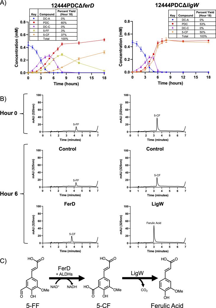 Graphs depict concentrations of DC-A, PDC, DC-C, 5-FF, and 5-CF over 18 hours for ferD and ligW mutants. HPLC traces at 0 and 6 hours for control, FerD-expressing, and LigW-expressing cell extracts. Diagram illustrates FerD and LigW conversion pathways.