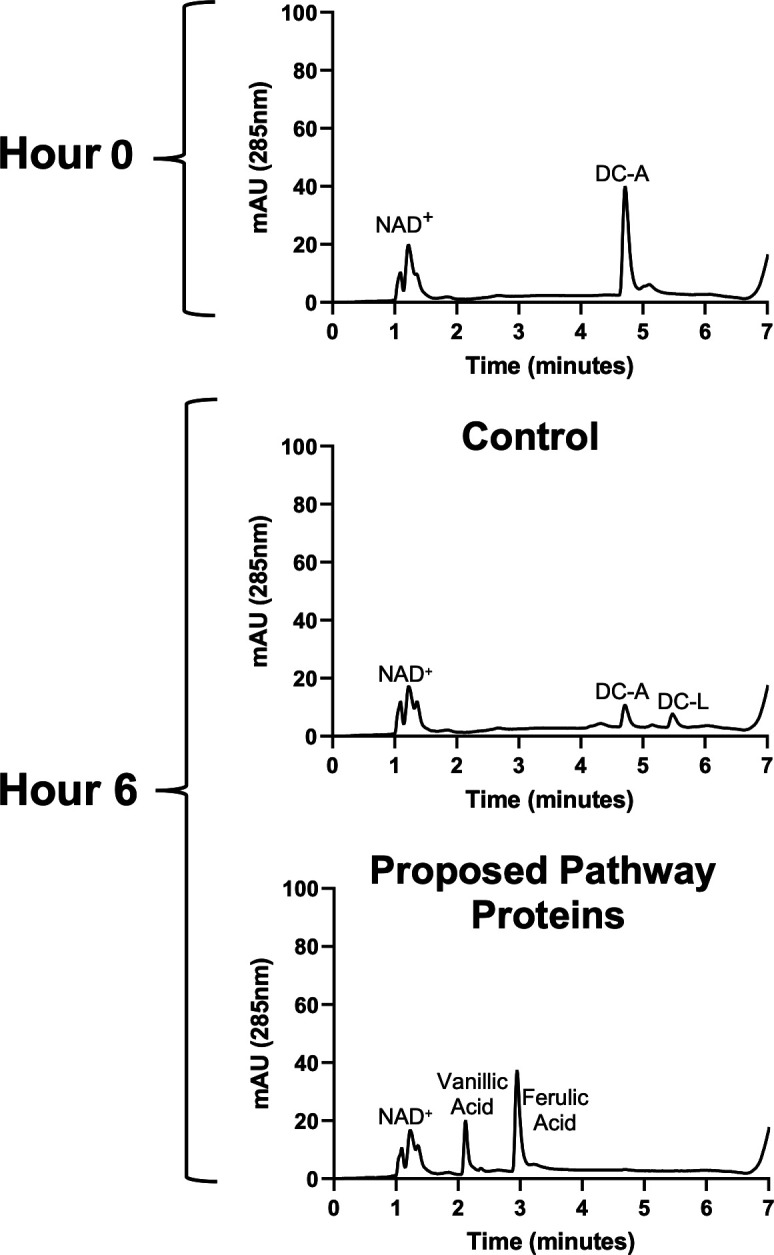 HPLC traces at hours 0 and 6 for control and proposed pathway protein cell extracts. Peaks for NAD+, DC-A, DC-L, vanillic acid, and ferulic acid are depicted. At hour 0, DC-A is prominent. At hour 6, DC-A is converted to vanillic acid and ferulic acid.