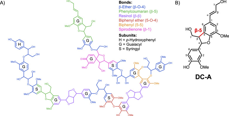 Chemical structures of lignin with color-coded bonds: β-ether, phenylcoumaran, resinol, biphenyl ether, biphenyl, and spirodienone. It includes p-hydroxyphenyl, guaiacyl, and syringyl subunits, and a structure highlighting the β-5 bond.