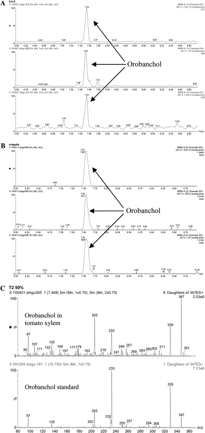 Figure 7.