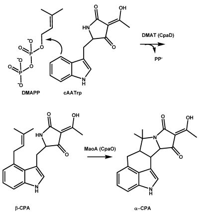 Scheme 3