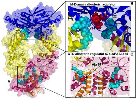 Figure 13