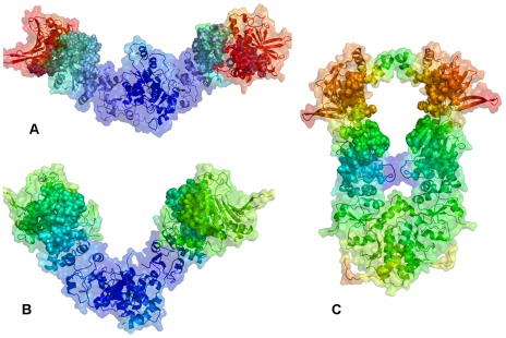 Figure 6