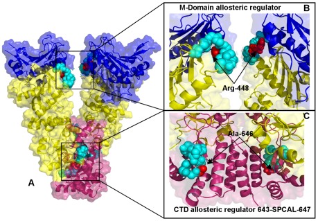 Figure 11