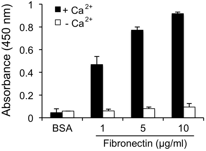 Fig 7