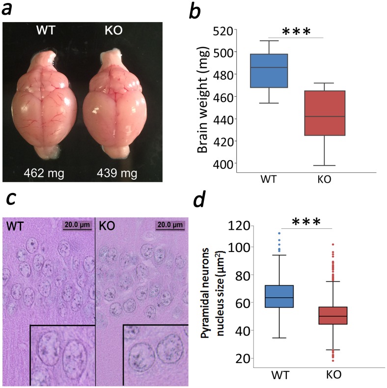 Fig 8