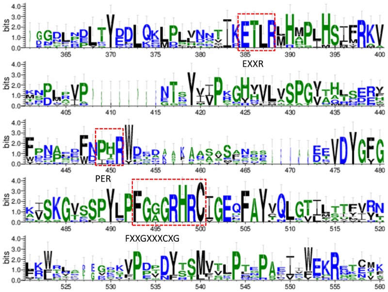 FIGURE 3