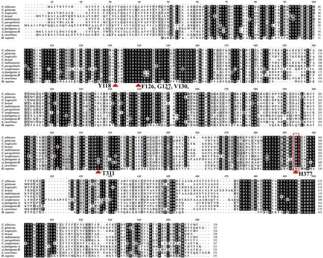 FIGURE 2