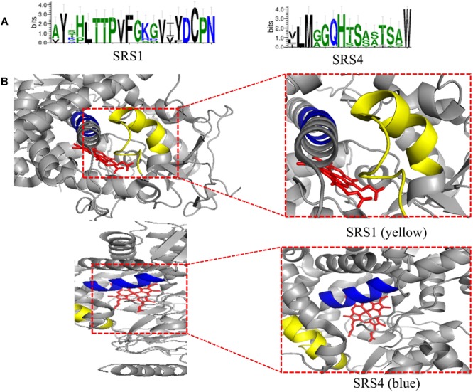 FIGURE 4