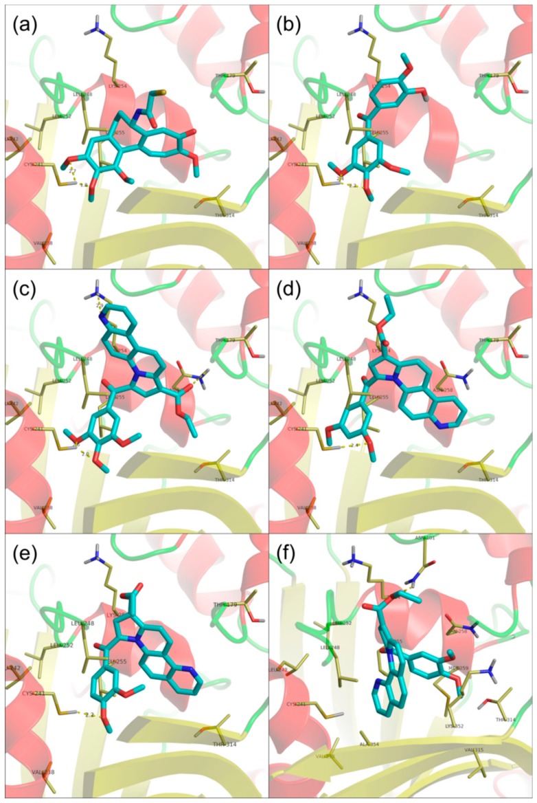 Figure 2