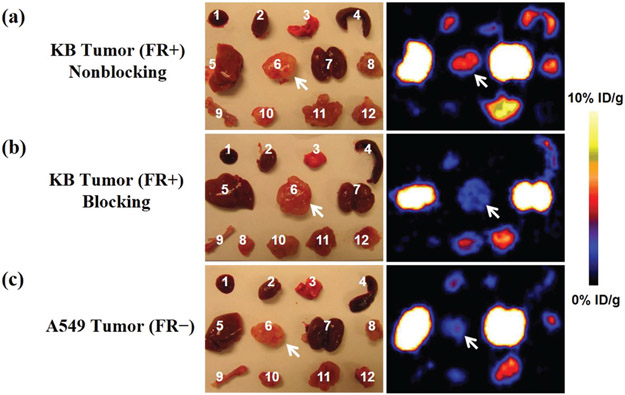 Fig. 9